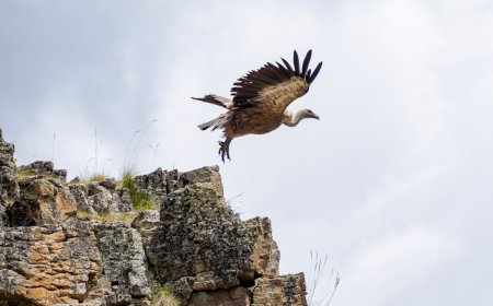 Menjelajahi Keindahan Alam dengan Cara yang Lebih Ramah Lingkungan