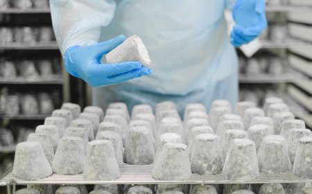 Mengapa BI Checking Penting untuk Pengajuan Kredit