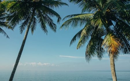 Jejak Petualangan 7 Hari Menyusuri Keindahan Alam dan Kuliner Bali