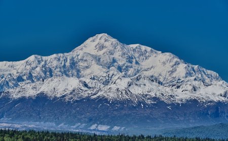 Mendaki Gunung Slamet: Panduan Lengkap untuk Pendaki Pemula