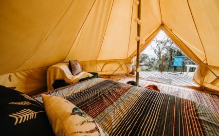 Staycation Unik Dekat Bogor: Pengalaman Berbeda yang Menggoda