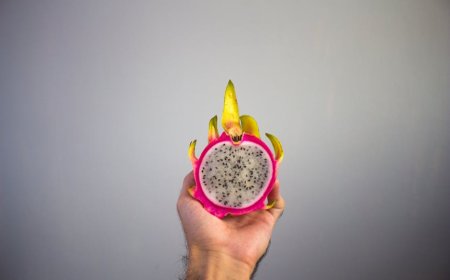 Mitos Diet yang Menyesatkan: Fakta Sehat yang Perlu Anda Ketahui