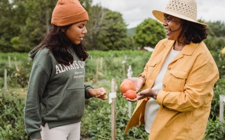 Langkah Cerdas Keuangan untuk Keluarga Muda