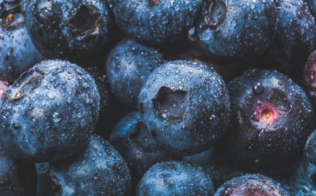 Rahasia Diet Sehat: Bukan Sekadar Kalori, Tapi Keseimbangan Nutrisi