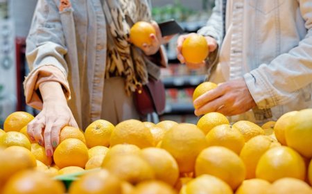 Makanan Sehat yang Efektif Mendukung Program Diet Anda