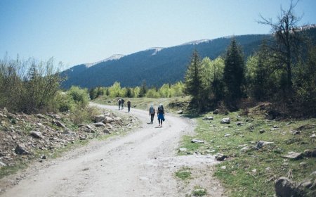 Tetap Sehat saat Liburan: Cara Jaga Imun Tubuh Tanpa Ribet