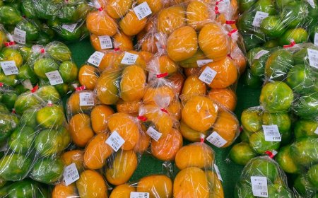 Rahasia Camilan Sehat yang Bikin Tubuh Makin Bugar dan Kalori Tetap Terkendali