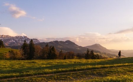7 Cara Liburan Ramah Lingkungan untuk Kurangi Jejak Karbon