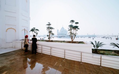 Rancang Kebun Instagramable: Tips Membuat Spot Foto Menarik di Rumah Sendiri