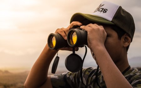 Menghargai Keindahan Alam Melalui Pengamatan Detail Kecil di Kebun