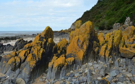 Meningkatkan Pengalaman Wisata dengan Sentuhan Alam dan Kreativitas