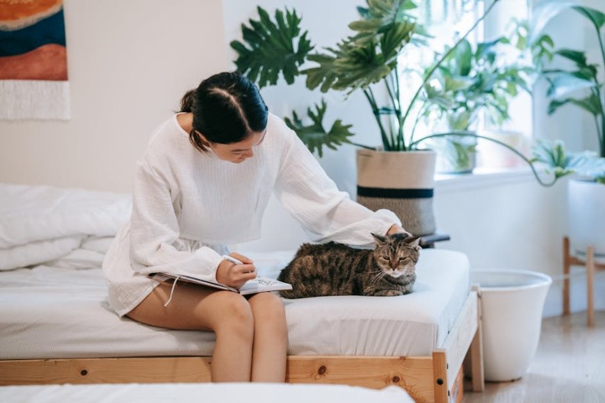 Menulis Jurnal Setiap Hari untuk Kesehatan Mental yang Lebih Baik