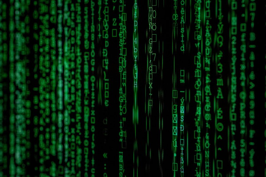 Wanita Arizona Jadi Perantara Hacker Korea Utara Curi Identitas AS