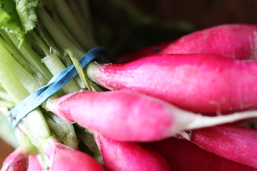 Diet Detoks: Fakta atau Mitos?