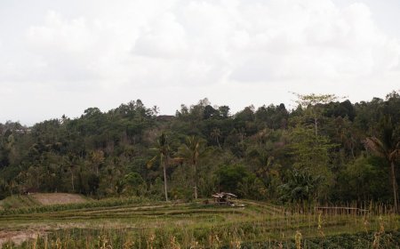 Tarakan: Kota Minyak dan Sejarah yang Jarang Terungkap? Melacak Perjalanan dan Perubahan yang Membentuk Wajahnya