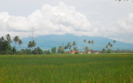 Mengapa Keanekaragaman Hayati Tarakan Penting? Melindungi Flora dan Fauna Unik di Tengah Risiko Bencana