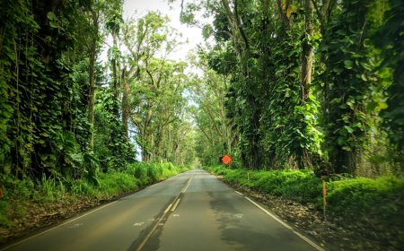 7 Rahasia Road Trip Pulau Jawa: Menyelami Pesona Alam Tersembunyi yang Memukau