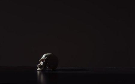 AI Mengancam atau Membantu? Dampak Nyata pada Tenaga Kerja