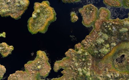 Simbol dan Makna Budaya Pulau Padar yang Membentuk Identitas Lokal!