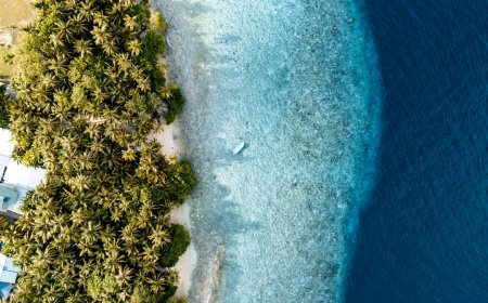 7 Strategi Cerdas Menaklukkan Trek Pulau Padar: Panduan Otentik dari Pengalaman Nyata
