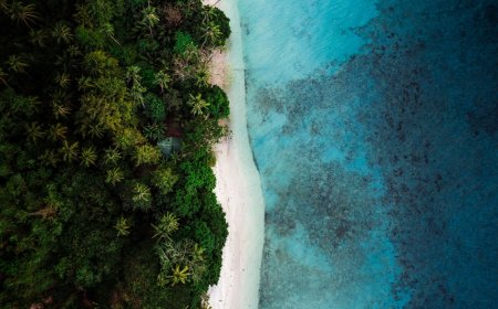 Menyelami Rahasia Liar Pulau Padar: Flora Unik & Fauna Eksotis yang Wajib Anda Temukan