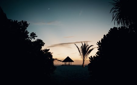 7 Aktivitas Tersembunyi di Pulau Padar yang Bikin Liburanmu Tak Terlupakan