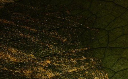 Membongkar Rahasia Invisible Rich: Cara Cerdas Meraih Kebahagiaan Lewat Kesederhanaan