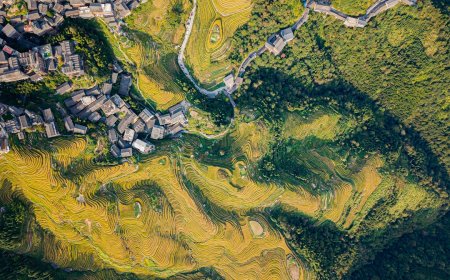 Mengungkap Rahasia Investasi Global dan Peta Jalan AI Indonesia yang Mengguncang