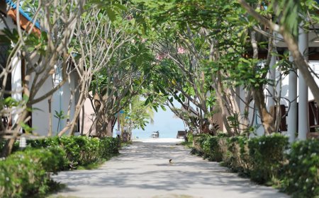 Alasan Mengapa Sumba Jadi Destinasi Trending yang Harus Anda Eksplorasi Ketimbang Bali