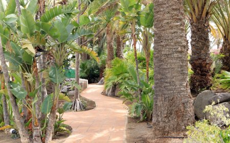 7 Tips Ampuh Merencanakan Liburan Sustainable di Sumba yang Wajib Kamu Coba