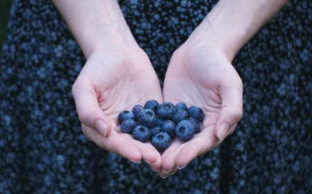 Serat Berlebihan Bisa Ganggu Penyerapan Nutrisi, Ini Penjelasannya!