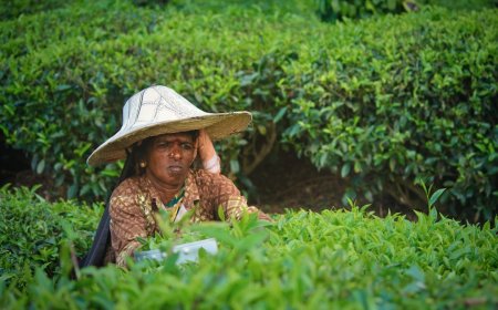 Pertumbuhan Ekonomi Indonesia Q2 2026 Melonjak, Ini Rahasianya!