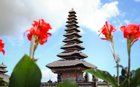 Mengungkap Potensi Dermaga Benoa: Bali Siap Jadi Bali Cruise Hub Terkemuka Asia