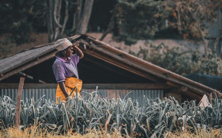 Viral! Aura Farming Jadi Ajang Kreativitas dan Inovasi Anak Muda