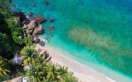 Mengungkap Dampak Ekonomi Positif Kedatangan Kapal Pesiar di Pelabuhan Benoa Bali