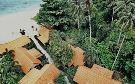 Mengungkap Dampak Positif Proyek Pengembangan Pelabuhan Benoa untuk Wisata Kapal Pesiar di Bali