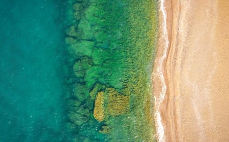 Fakta Mencengangkan: 5 Dampak Parah Pemutihan Massal Terbaru di Great Barrier Reef