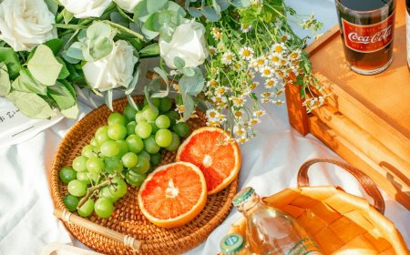 Makanan Fermentasi: Rahasia Pencernaan Sehat dan Tubuh Bugar