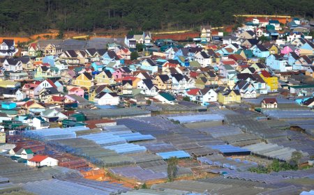 Gempa Terkini 14 Agustus 2025: Dampak Besar, Ini Analisis dan Saran Mitigasi BMKG