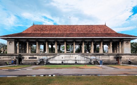 Fadli Zon Genjot Penulisan Ulang Sejarah Indonesia, Target Rampung Agustus 2025