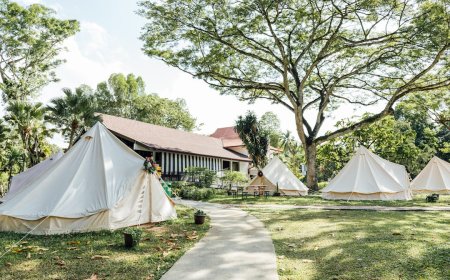 Panduan Camping 2025: Temukan Destinasi Alam Terbaik & Daftar Perlengkapan Wajib