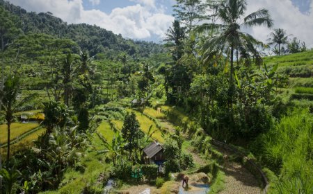 7 Desa Wisata Ramah Lingkungan di Indonesia untuk Ekowisata Tak Terlupakan 2025