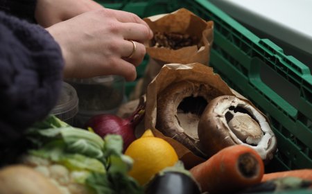 7 Cara Mudah Hidup Ramah Lingkungan di 2025, Nomor 3 Bikin Kaget!