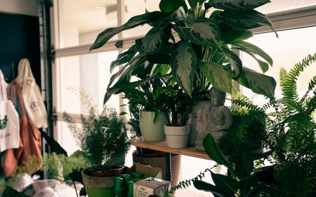 7 Cara Slow Living: Nikmati Hidup Lebih Bahagia dan Tenang di 2025