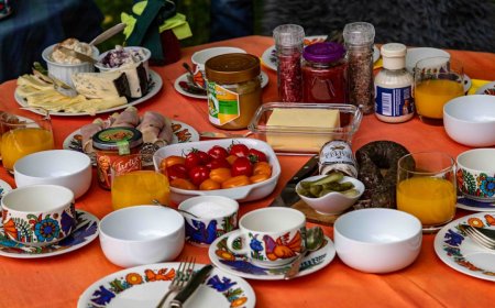 Panduan Diet Sehat 2025: Menu Harian dan Tips Nutrisi Terbaru dari Ahli Gizi