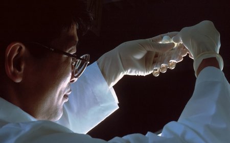 Vaksin Baru Virus Nipah Lolos Uji Coba Awal, Harapan Mencegah Pandemi Mematikan Selanjutnya?