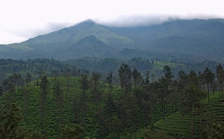 Lembang Bukan Cuma Farmhouse: Panduan Anti-Mainstream Menemukan Spot Rahasia & Kuliner Lokal Otentik