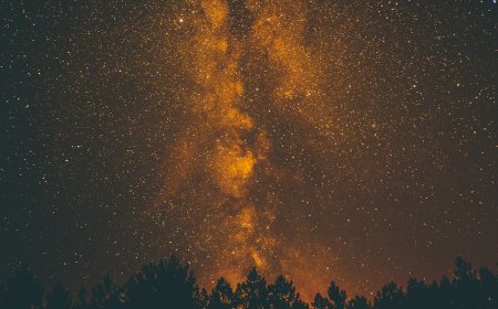 Api di Kalimantan Bukan Sekadar Asap: Ini Harga Mahal yang Kita Bayar dari Kerusakan Ekosistem Gambut