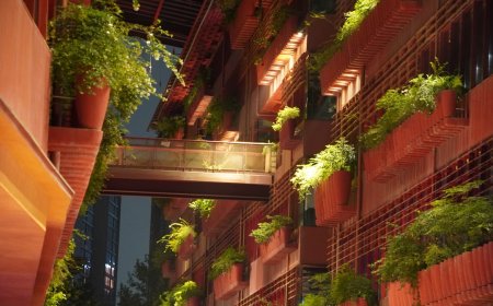 5 Trik Jenius Sulap Lahan Sempit Jadi Kebun Produktif di Rumah