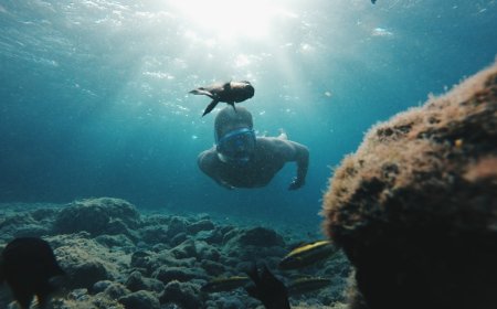 Galapagos Tanpa Rombongan: Panduan Orang Dalam untuk Menemukan Surga Tersembunyi Ekuador